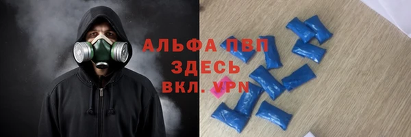 спиды Алзамай