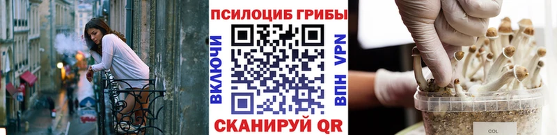 Галлюциногенные грибы GOLDEN TEACHER  МЕГА ссылка  Лагань 